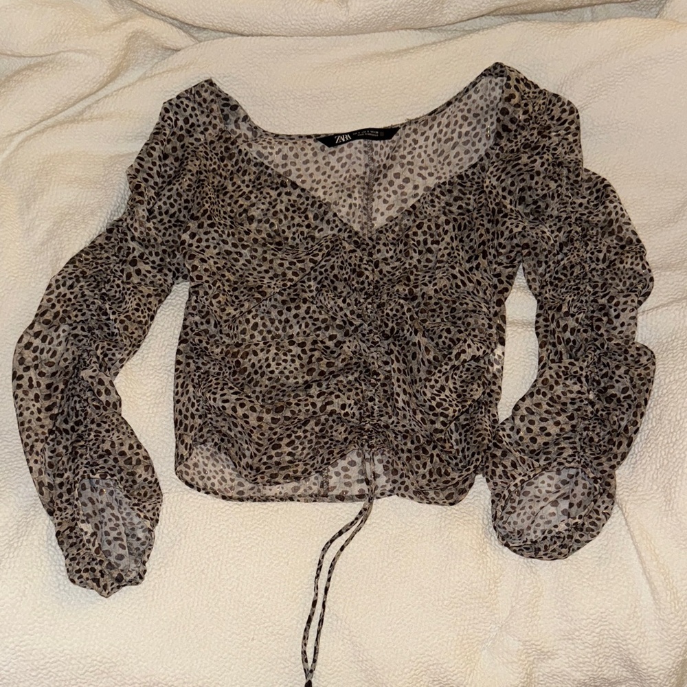 Zara Animal Print Sheer Top